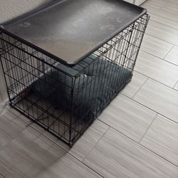 Pets cage