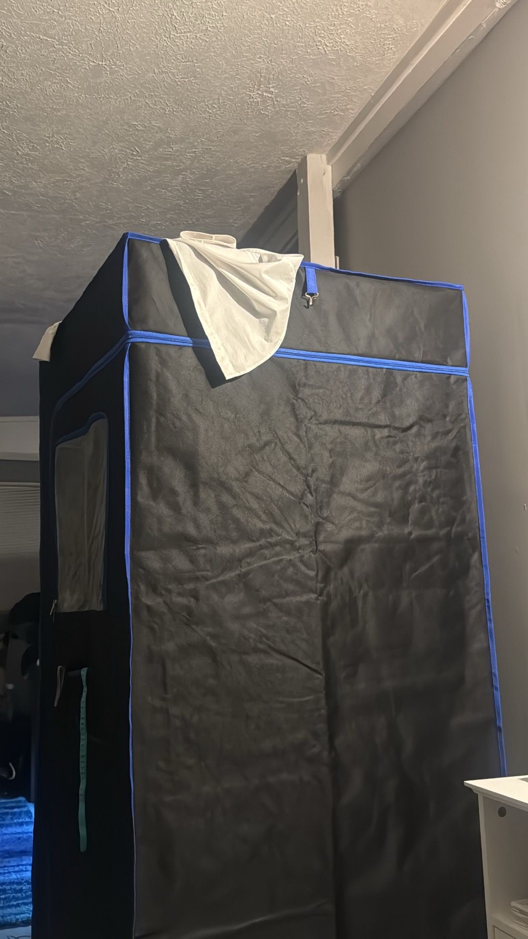 Portable sauna