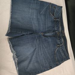 Ladies Size 12 Shorts 