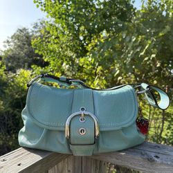 coach hobo bag