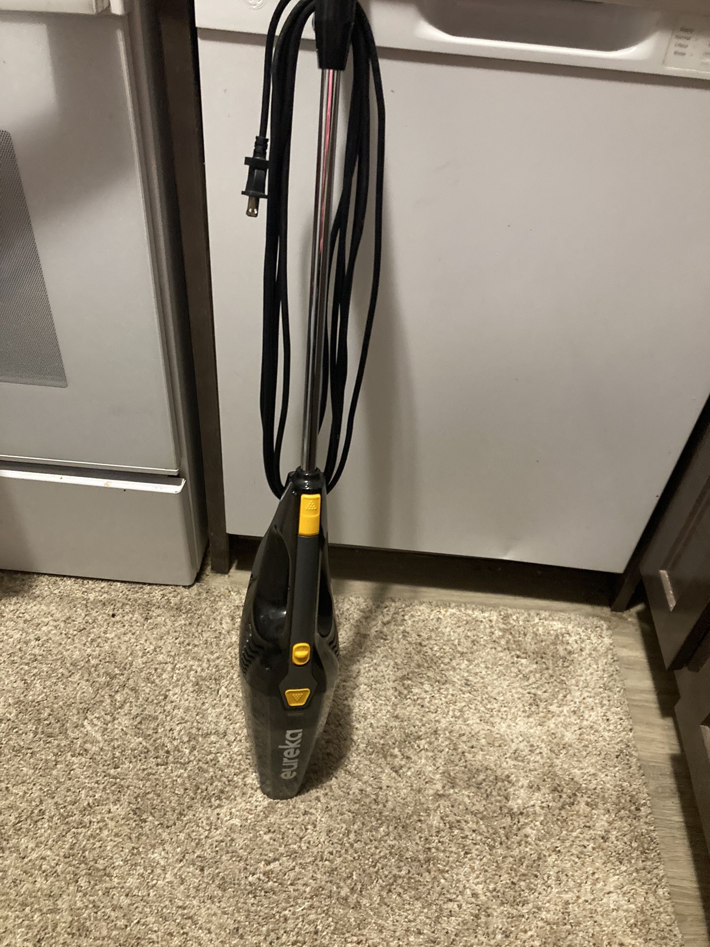 Eureka Vacuum