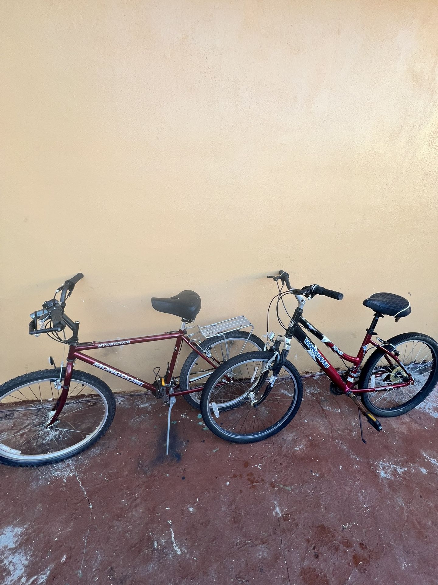 2 Adult Bikes