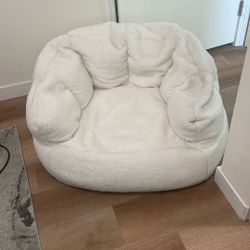 Large Bean Bag Chair