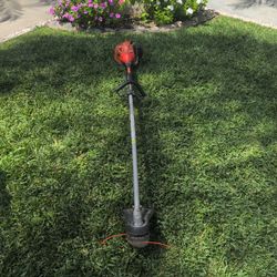 Lawn Mower Echo Weader 