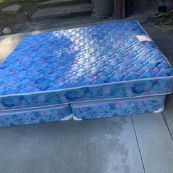 Matress / Box Springs Free