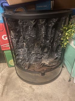 Terrarium