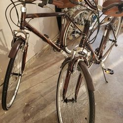 2 Bikes And A Kid Ride A Long Carrier Buggy That Attaches To The Back Of The Bike