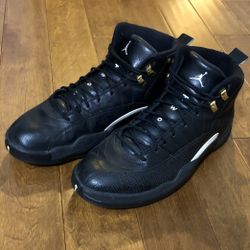 2015 AIR JORDAN 12 RETRO THE MASTER Size 13.5 (130690 013) XII