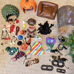 Bearded Dragon Accessories 