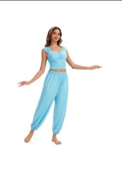 Arabian Princess Costume  Women 2 pc Size XL