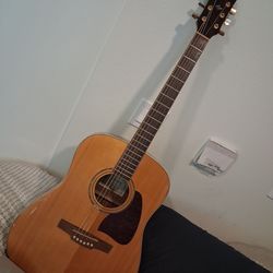 Ibanez AW30NT2Y01 Dreadnaught Accoustic guitar in xlnt condition. $175