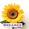 Dreamer