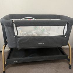 Angel Bliss Bassinet, Baby Carrier, Two Breast Pumps, Baby Bouncer