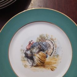 Beautiful Vintage Turkey Plates From The 1950s