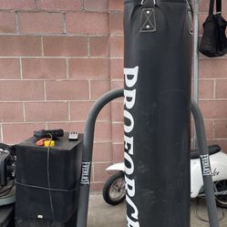 Bolsa De Boxeo