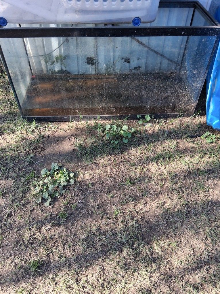 Aquarium / Terrarium