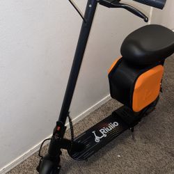 Riuiio Adult Electric Scooter
