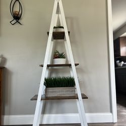 Ladder Shelf