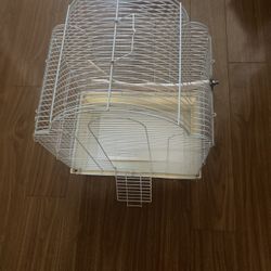 Bird   Cage