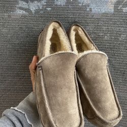 Ugg Ascot sheep’s slippers grey 