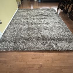 Beautiful And Comfortable Shag Rug