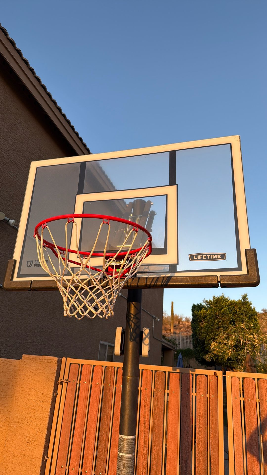 Lifetime Adjustable Basketball Hoop