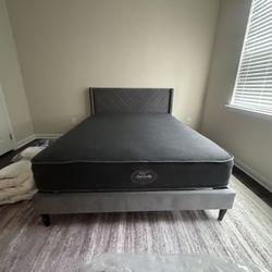 New Beds!! Camas Nuevas 