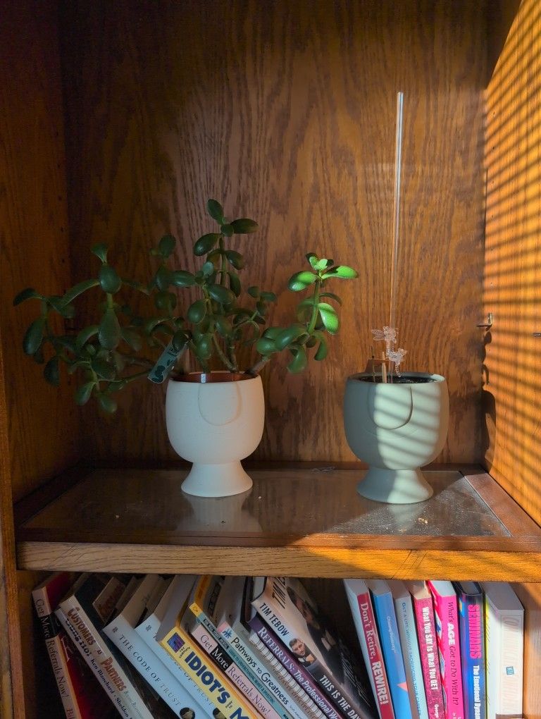 multiple plants