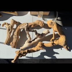 Reptile Branches Decor