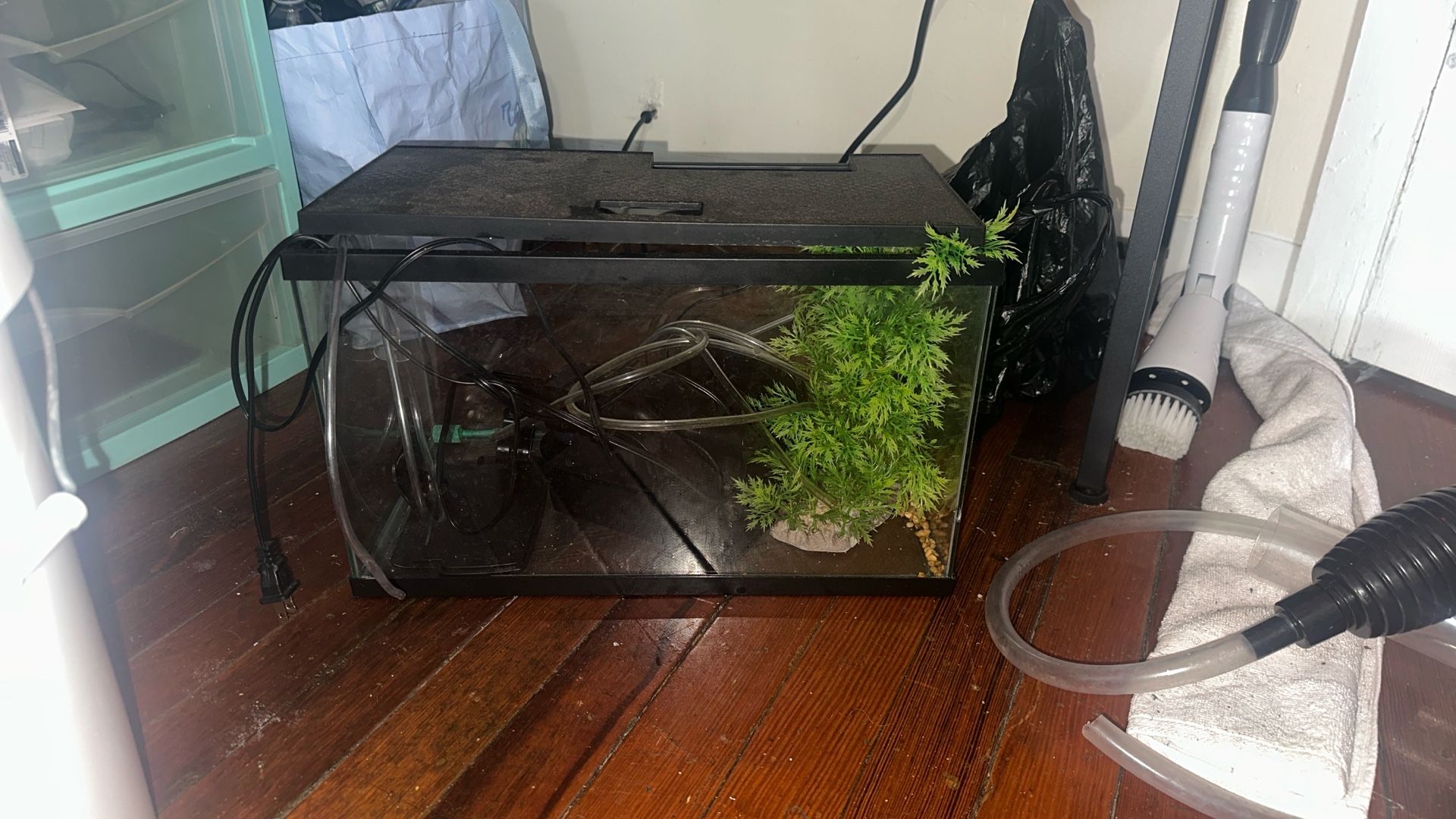 Fish Tank 5gallon Starter Set