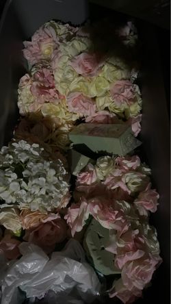 Flores