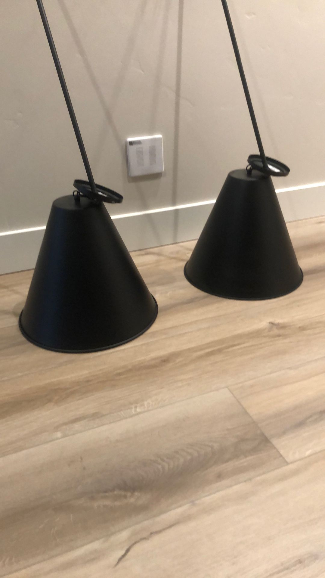 Two Pendant Lights