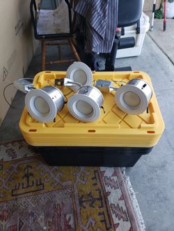 Lights $10 Each