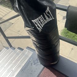 Everlast punching bag
