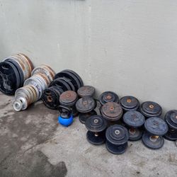 Gym Equipment