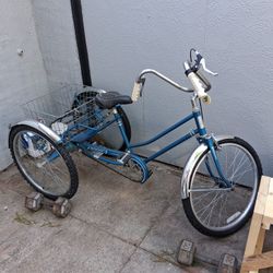 Sears Adult Tricycle 