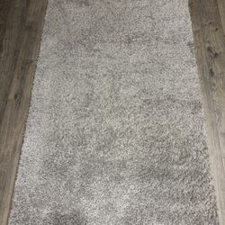 Light gray rug