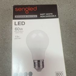 Sengled LED A19 light bulbs 60W equivalent Soft White Non Dimmable 4-pack