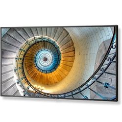NEC E554 55 Inch LED Monitor / TV with HDMI and Mounting Brackets