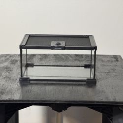 Insect Terrarium 12” X 8” X 6”