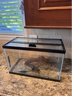10 Gallon Fish Tank with lid