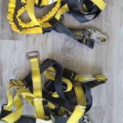 Safety Harness