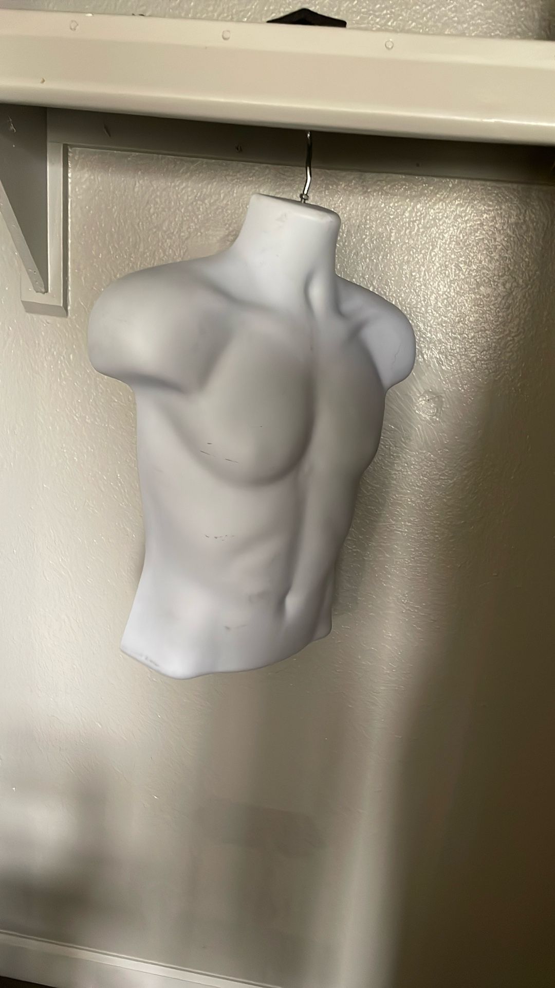 Half body male mannequin