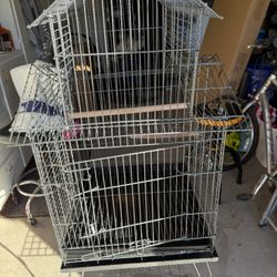 Bird Cage