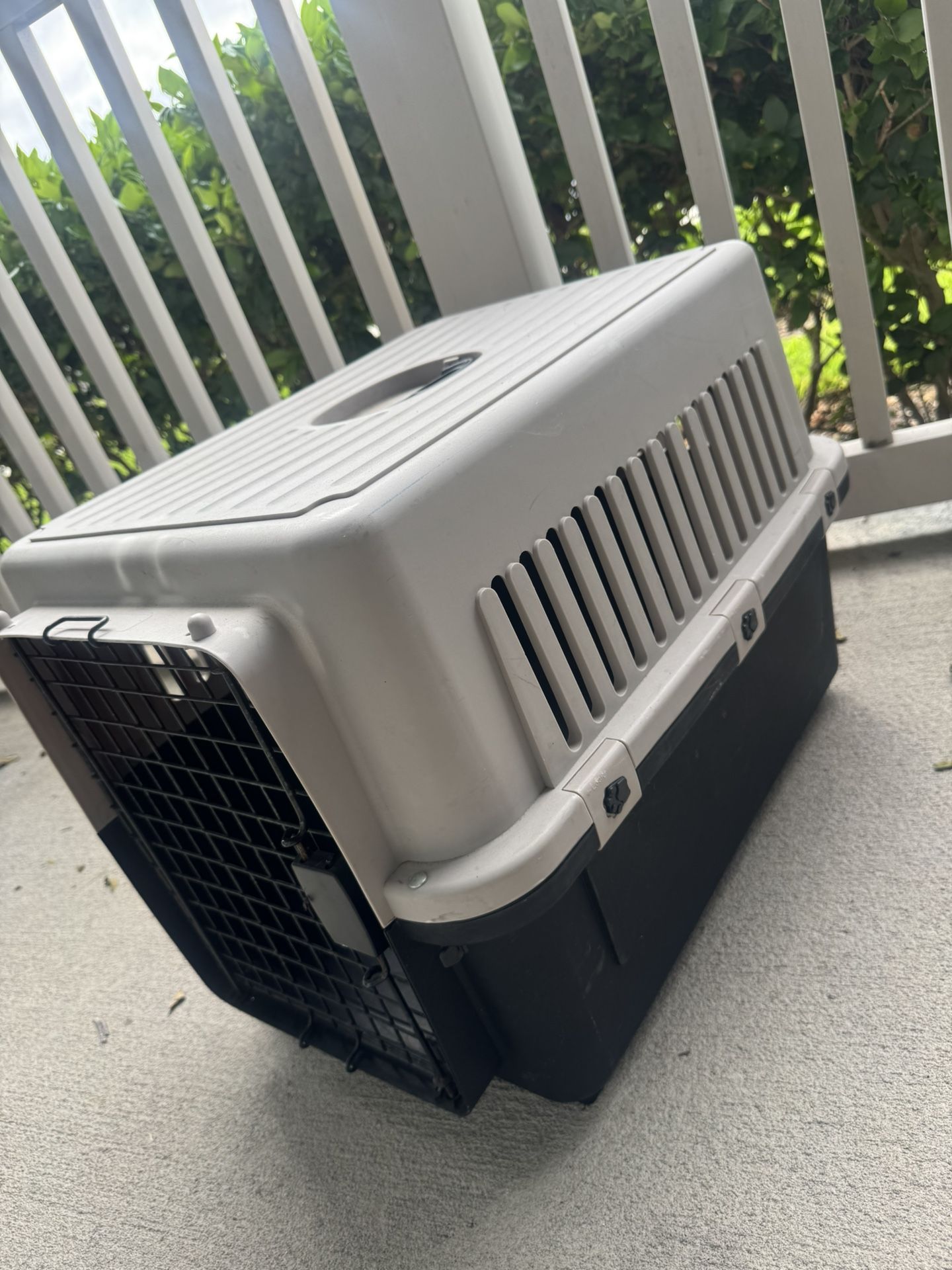 Small Dog Crate