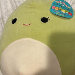 Apple Squishmallows