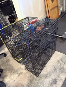 2 Shrimp pots with 2 bait barrel and 2 Trap Harness