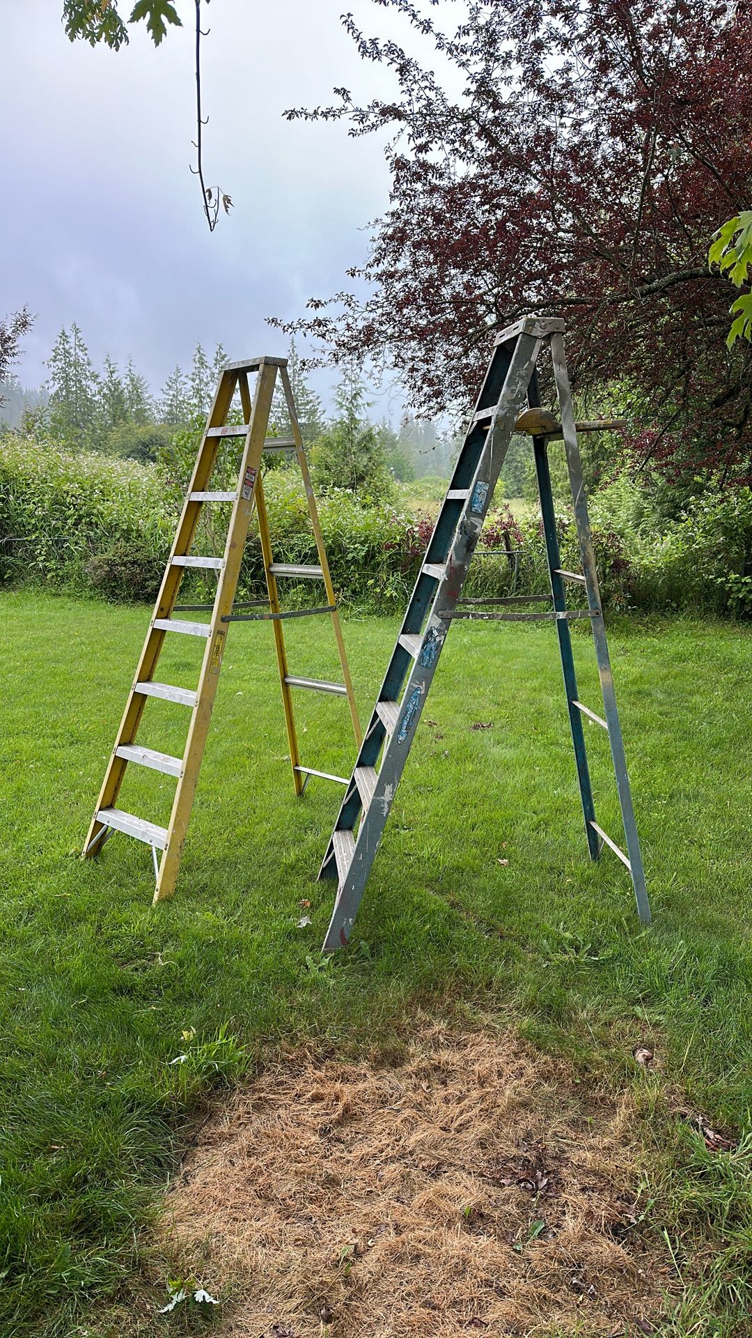 8ft Ladders