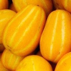 Rare Organic Korean Melon Seeds And Preorder Plants! 2026 SEASON EARLY RELEASE! 