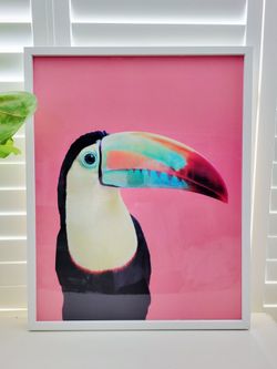 LARGE TROPICAL TOUCAN FRAMED PICTURE **BRAND NEW**